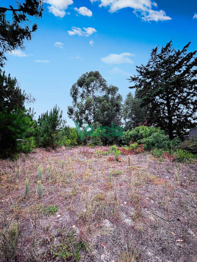 Terreno ID.22922 - Terreno en venta Pinar sur 892 m2