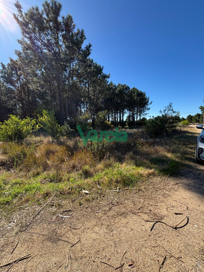 Terreno ID.22754 - Venta Terrenos El Pinar al sur de Interbalnearia 