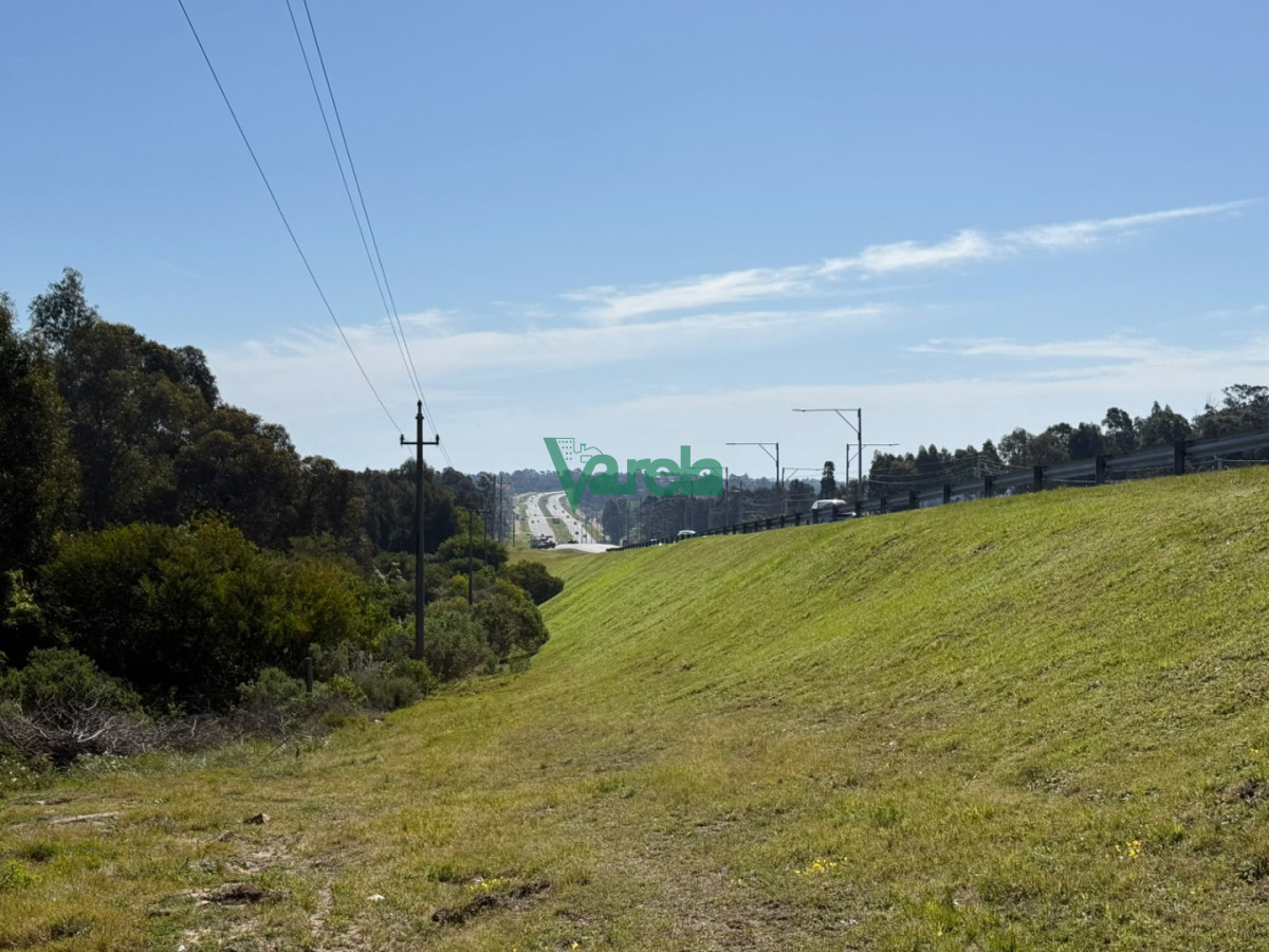 Terreno ID.23184 - Gran terreno sobre la ruta en Araminda Sur