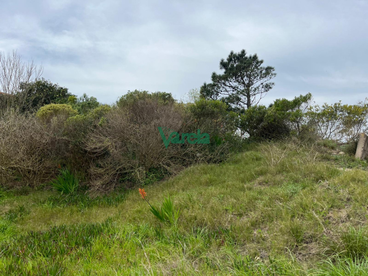 Terreno ID.23160 - Terreno en venta en el Caribe Oriental (vista al mar)