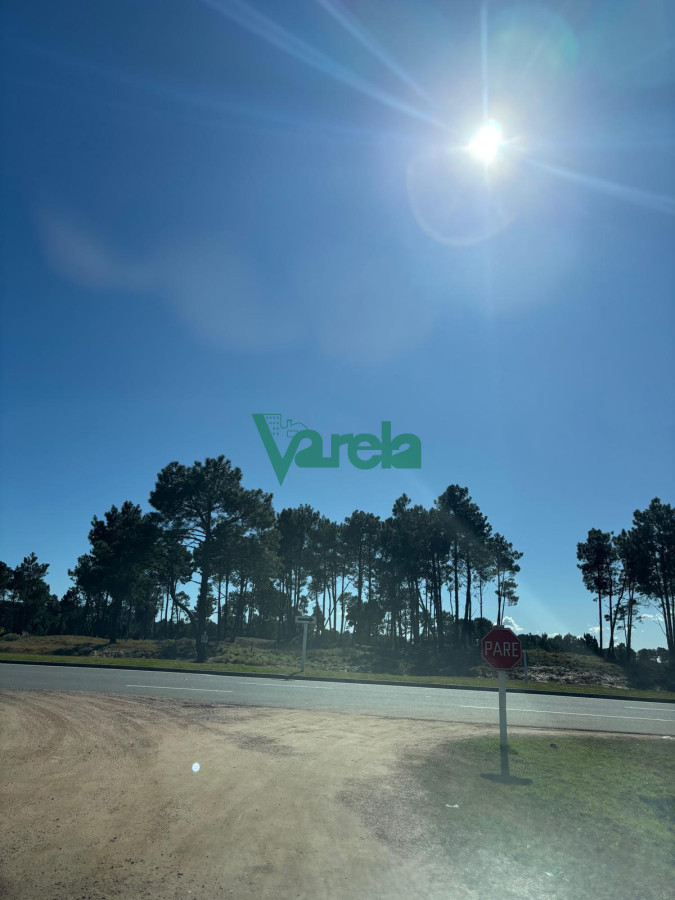 Terreno ID.22754 - Venta Terrenos El Pinar al sur de Interbalnearia 