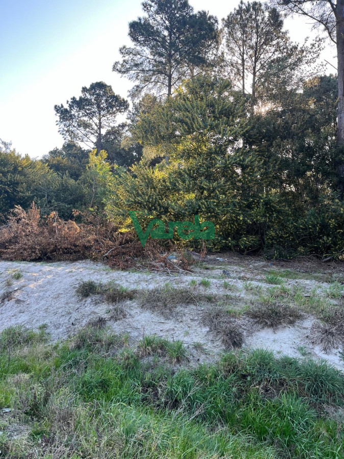 Terreno ID.22355 - Venta terreno Montes de Solymar, U$S 20.000 de entrega más cuotas de 14 U.R. 