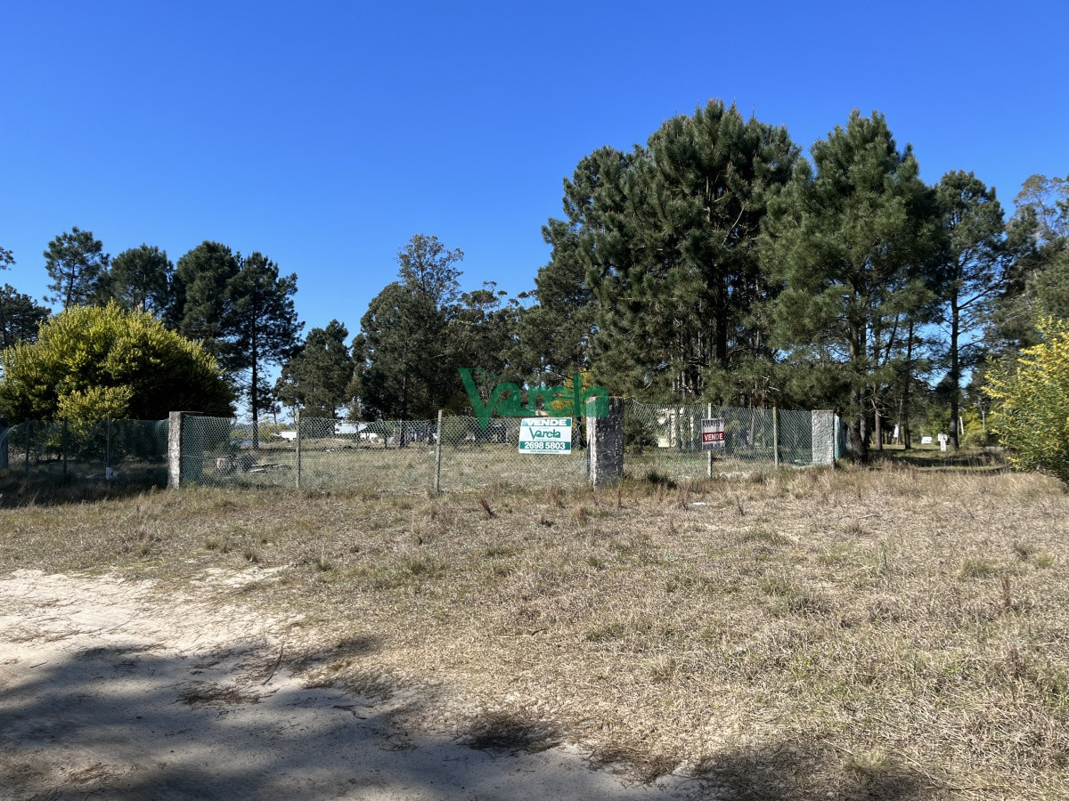 Terreno ID.21035 -  Terreno de 5608 m2 Pinar Sur , en venta .