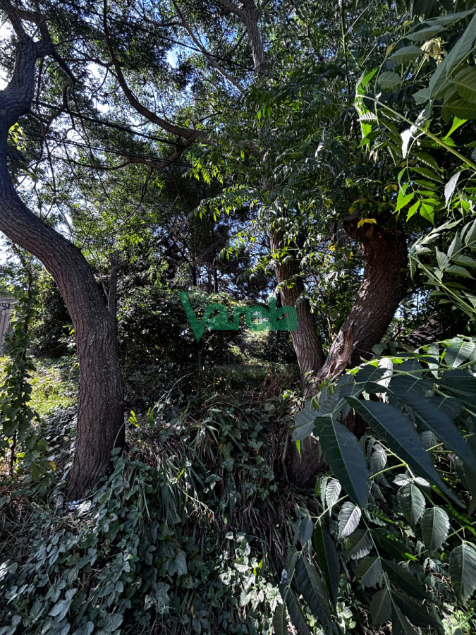 Terreno ID.22535 - Terreno en venta  El Pinar Sur. 