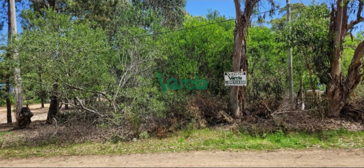 Terreno ID.23202 - Terreno en venta, 540 m2, a mts de la playa, Balneario Argentino