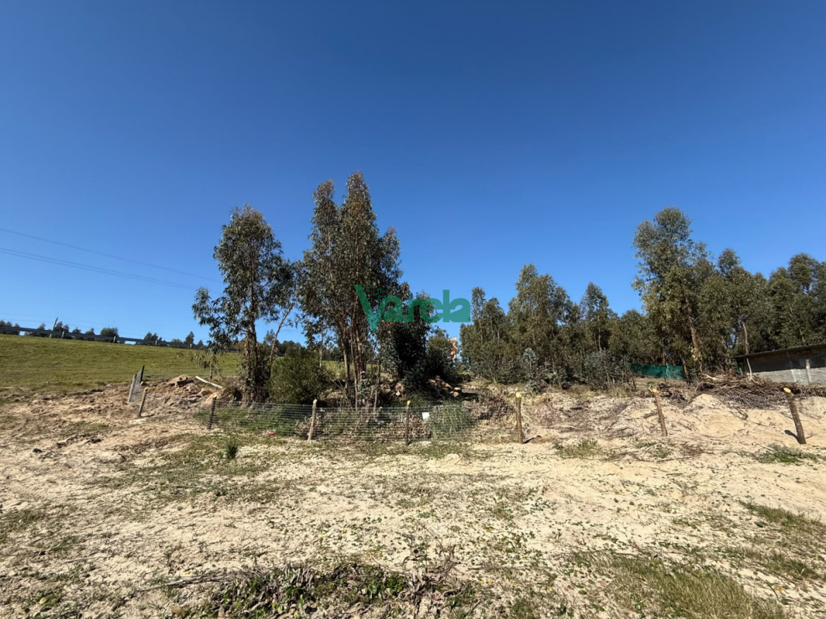 Terreno ID.23184 - Gran terreno sobre la ruta en Araminda Sur
