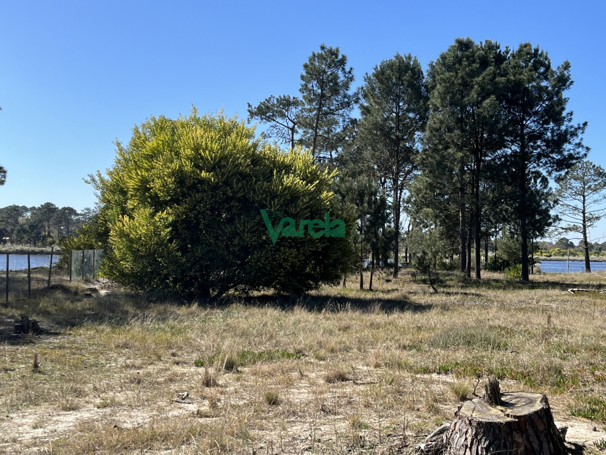 Terreno ID.21035 -  Terreno de 5608 m2 Pinar Sur , en venta .