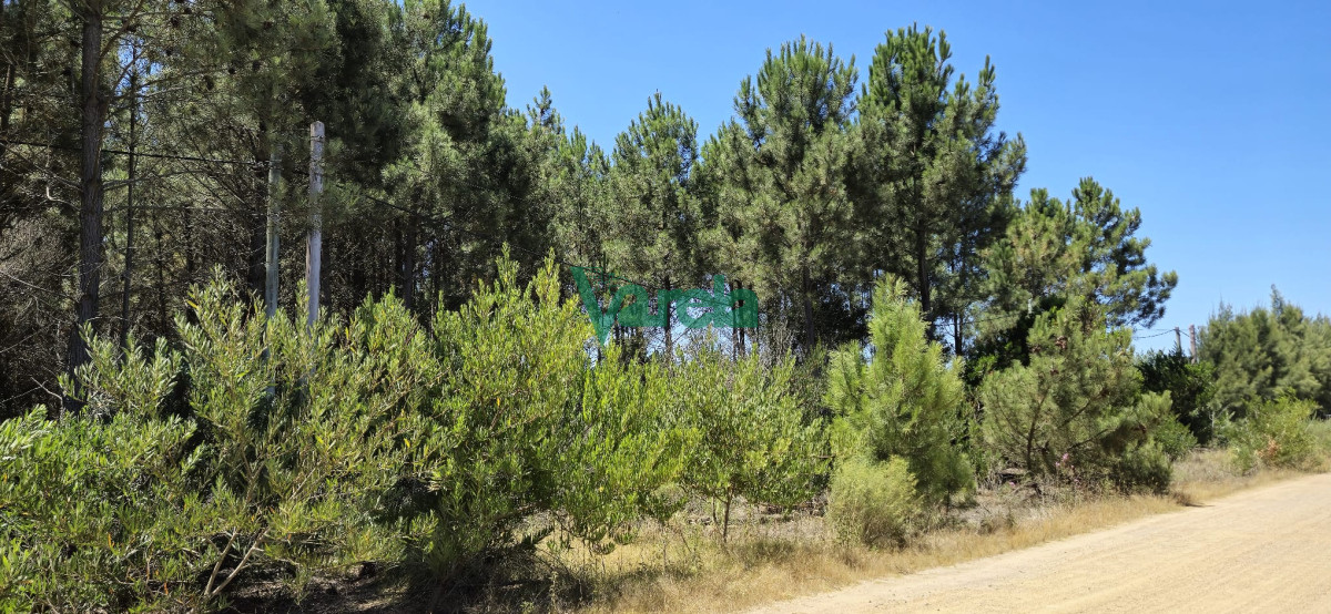 Terreno ID.22513 - Terreno en Balnearios, Guazuvira Nuevo