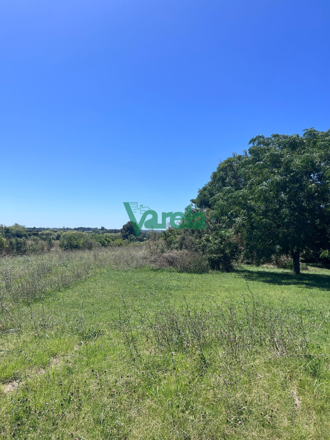 Terreno ID.22559 - Venta Gran Terreno Con Galpon Sobre Mendoza Ideal Inversion Montevideo