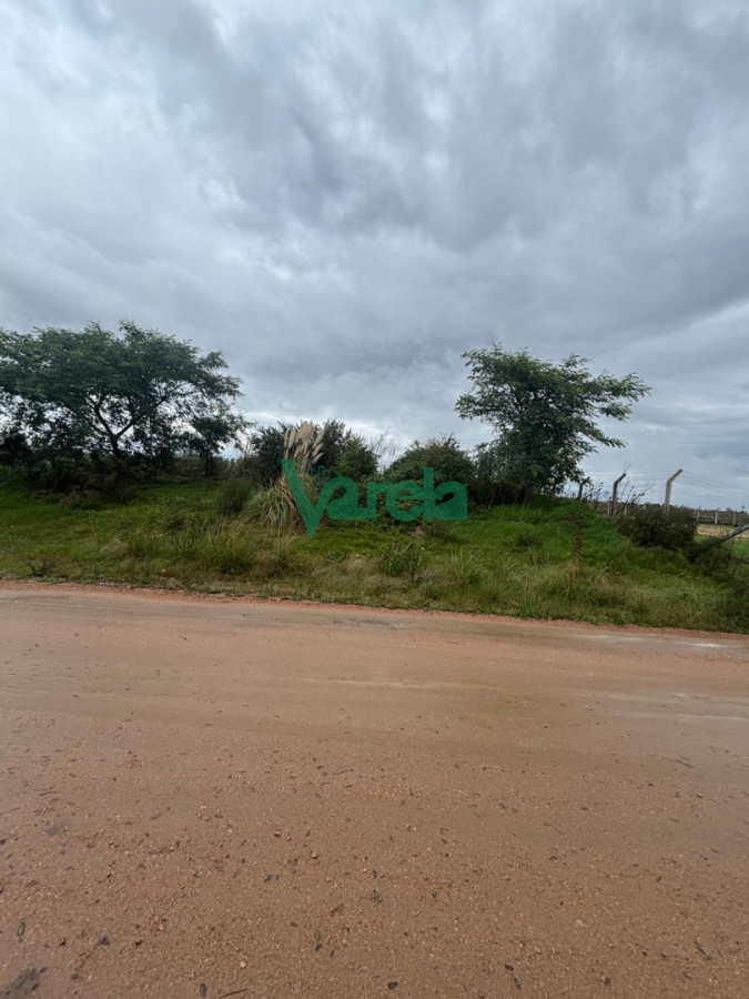 Terreno ID.23022 - Terrenos próximo a Ruta 101