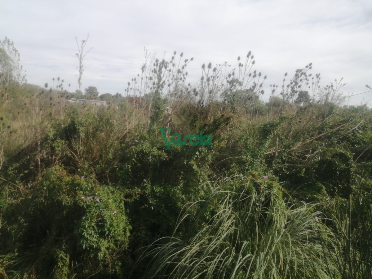 Terreno ID.22295 - Terreno sobre Cno. Los Horneros. Frente a LaTahona