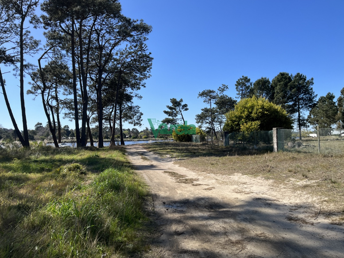 Terreno ID.21035 -  Terreno de 5608 m2 Pinar Sur , en venta .