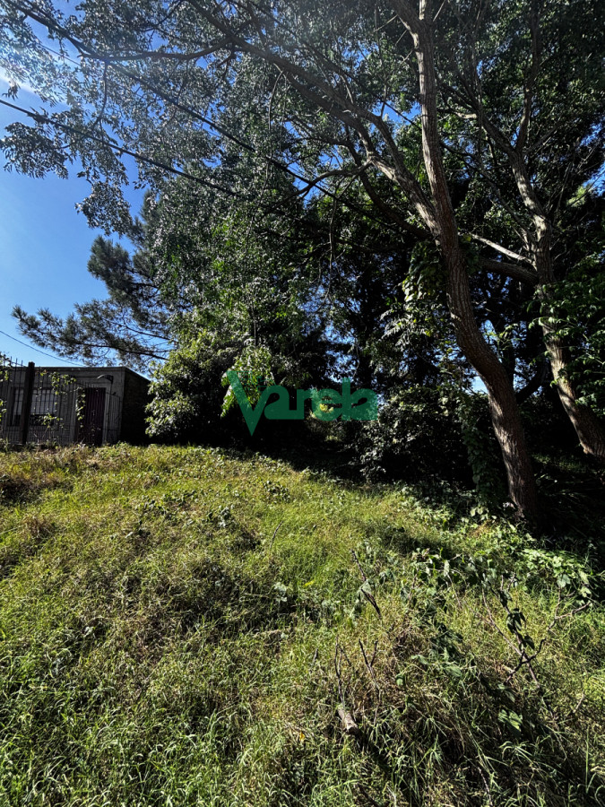 Terreno ID.22535 - Terreno en venta  El Pinar Sur. 