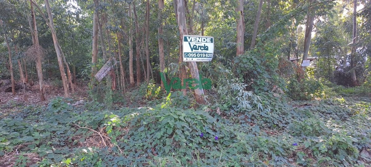 Terreno ID.22162 - Terreno en Santa Ana a 7 cuadras de playa