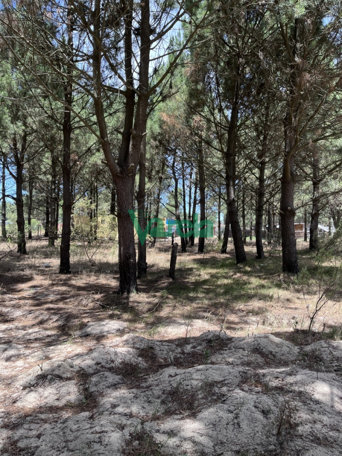 Terreno ID.22163 - Terreno en Venta Lomas 16 ha , 49 m sobre giannattasiio!!