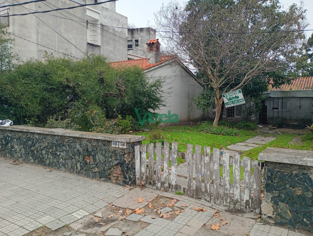 Terreno ID.23141 - Venta Terreno Malvín, espectacular, ideal edificio o super local comercial, sobre Rivera