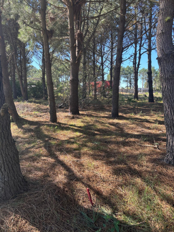 Venta terrenos Solymar , Entrega $ 300.000 más cuotas de 16 UR      