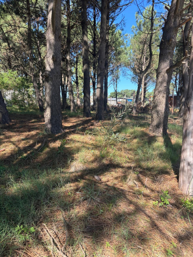 Venta terrenos Solymar , Entrega $ 300.000 más cuotas de 16 UR      