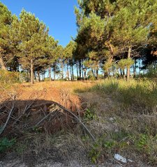 Terreno financiado Montes de Solymar 400m2