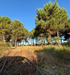 Terrenos en venta financiados Nilo Park