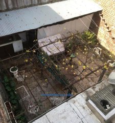 Gran Oportunidad Casa De 3 Dormitorios Y Patio