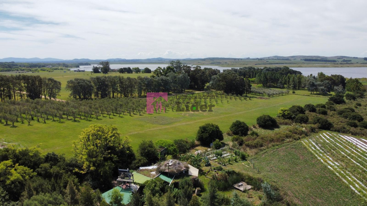 Maldonado - GoPunta - Portal Inmobiliario de Punta del Este - Maldonado