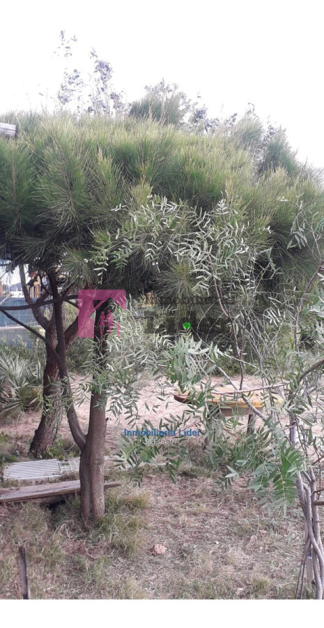 Terreno ID.149 - Terreno En Primera Linea En Punta Negra