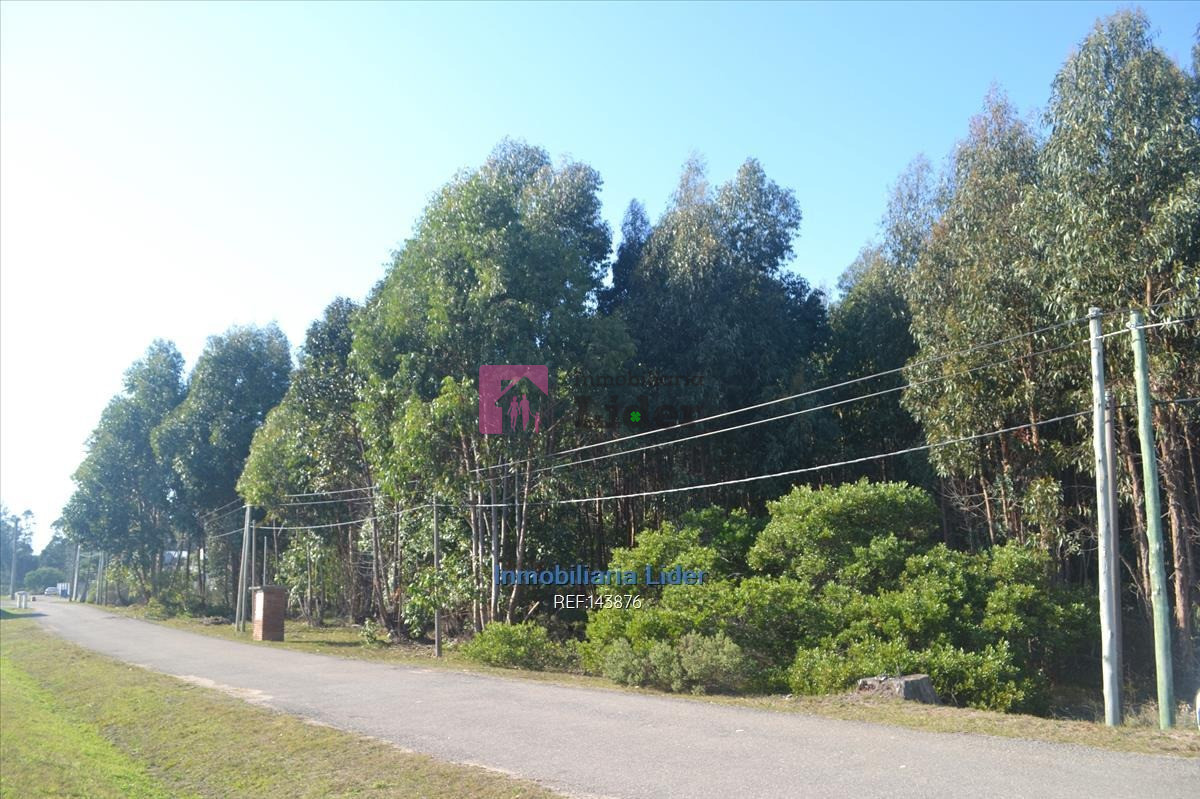 Terreno ID.277 - Chacra, Fortín De Santa Rosa