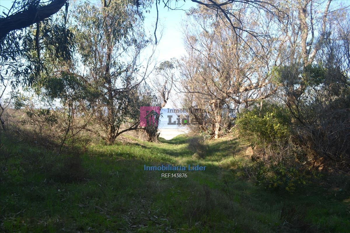 Terreno ID.277 - Chacra, Fortín De Santa Rosa