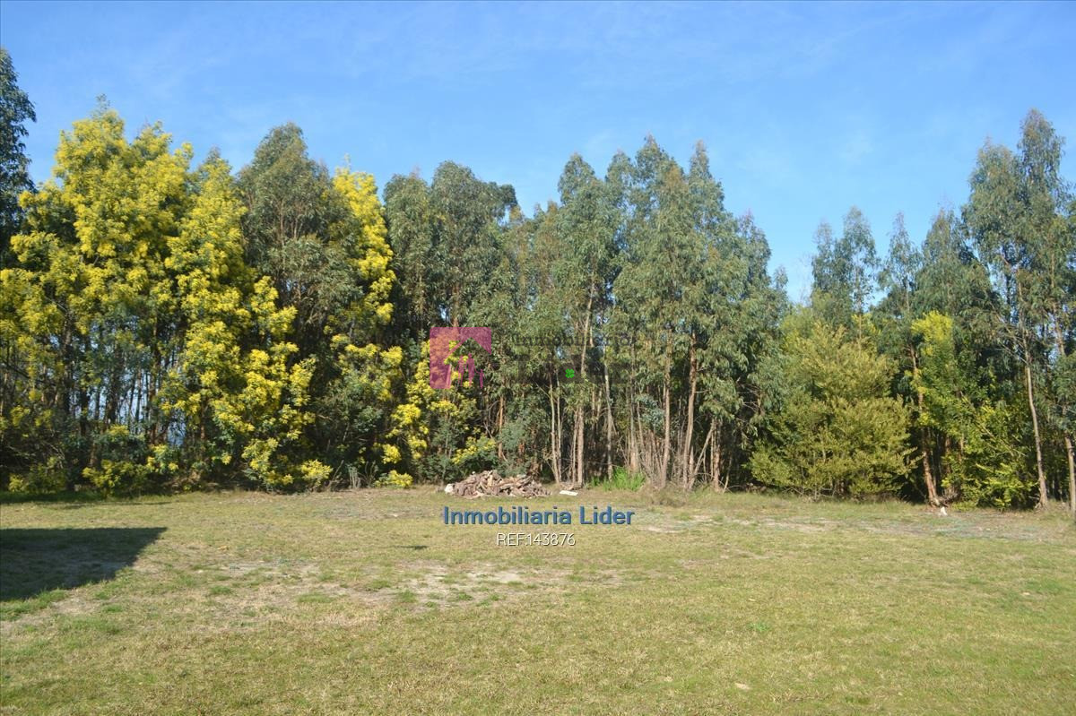 Terreno ID.277 - Chacra, Fortín De Santa Rosa