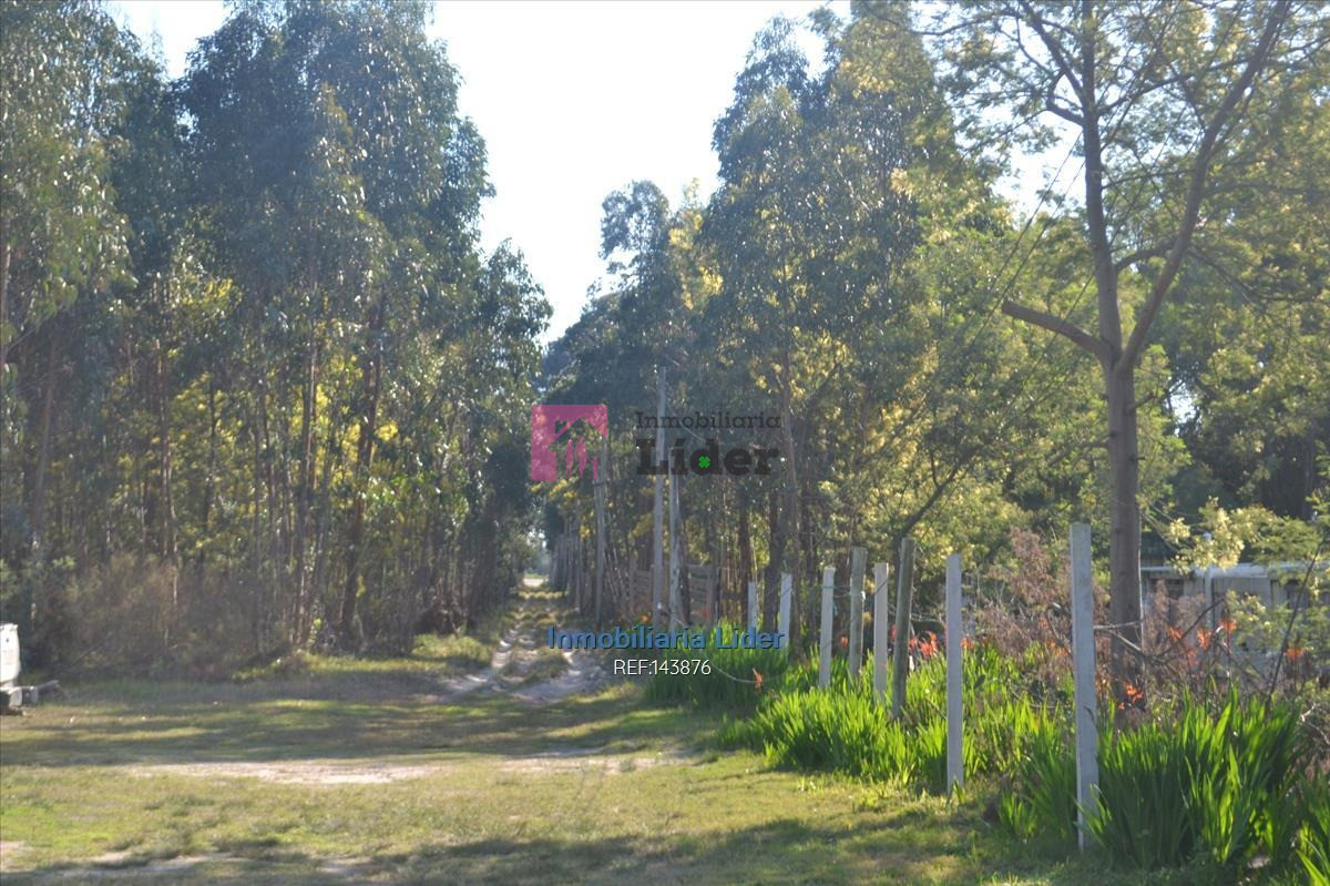 Terreno ID.277 - Chacra, Fortín De Santa Rosa