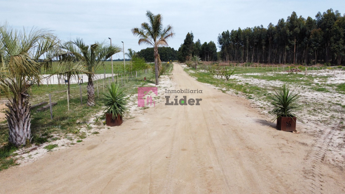 Terreno ID.612 - LAGUNA DEL CISNE
