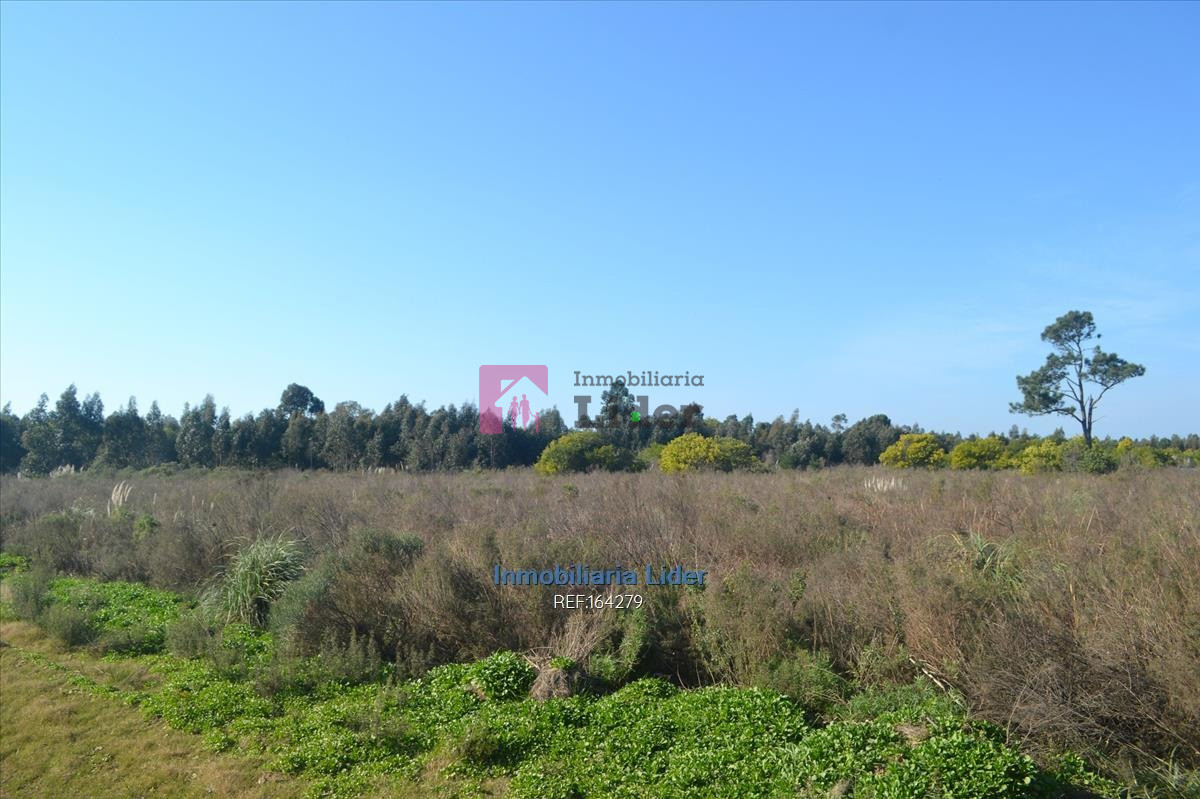 Terreno ID.75 - Terreno En Fortín De Santa Rosa