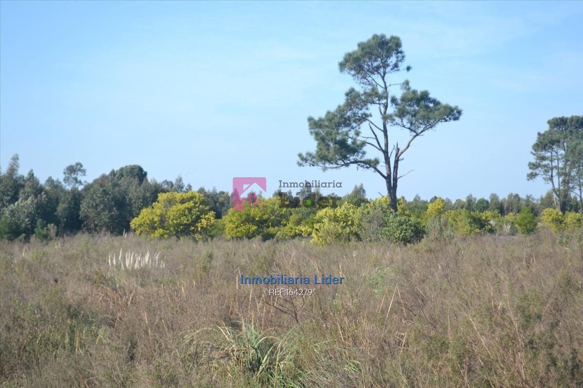 Terreno ID.75 - Terreno En Fortín De Santa Rosa