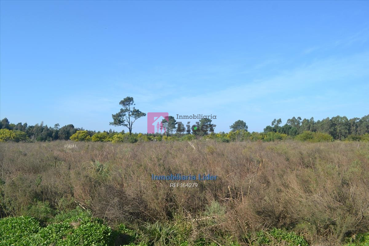 Terreno ID.75 - Terreno En Fortín De Santa Rosa