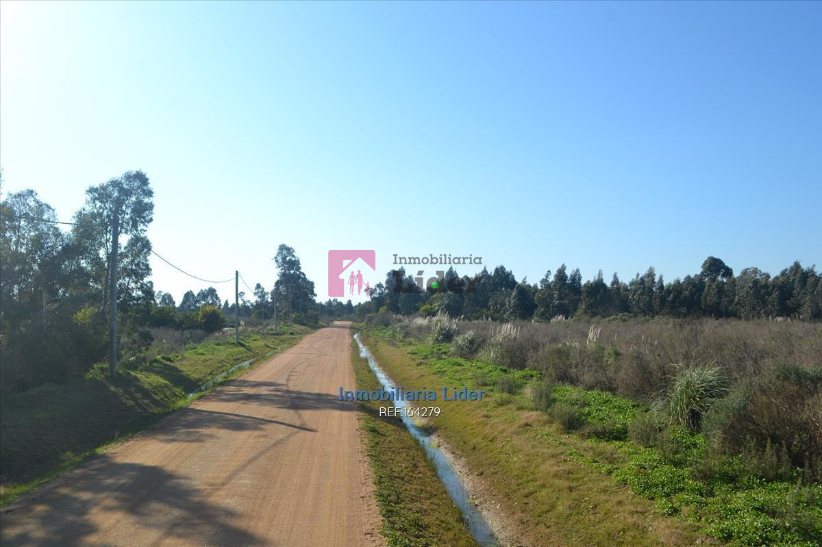 Terreno ID.75 - Terreno En Fortín De Santa Rosa
