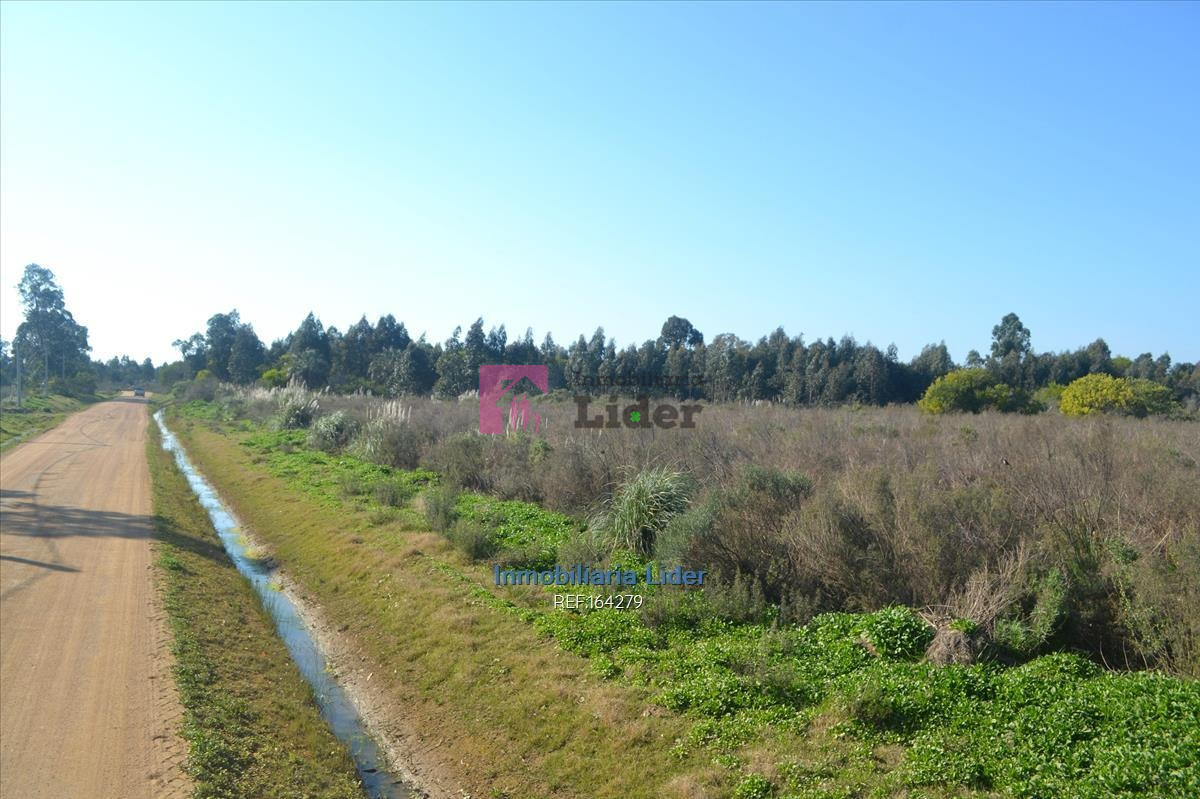 Terreno ID.75 - Terreno En Fortín De Santa Rosa
