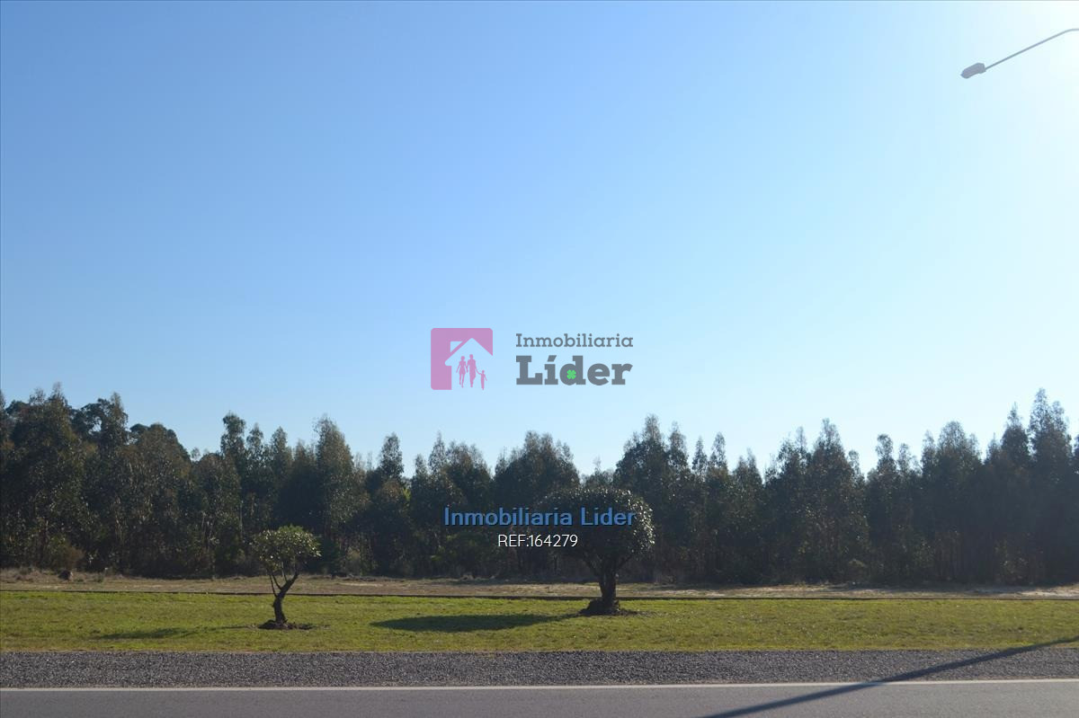 Terreno ID.75 - Terreno En Fortín De Santa Rosa