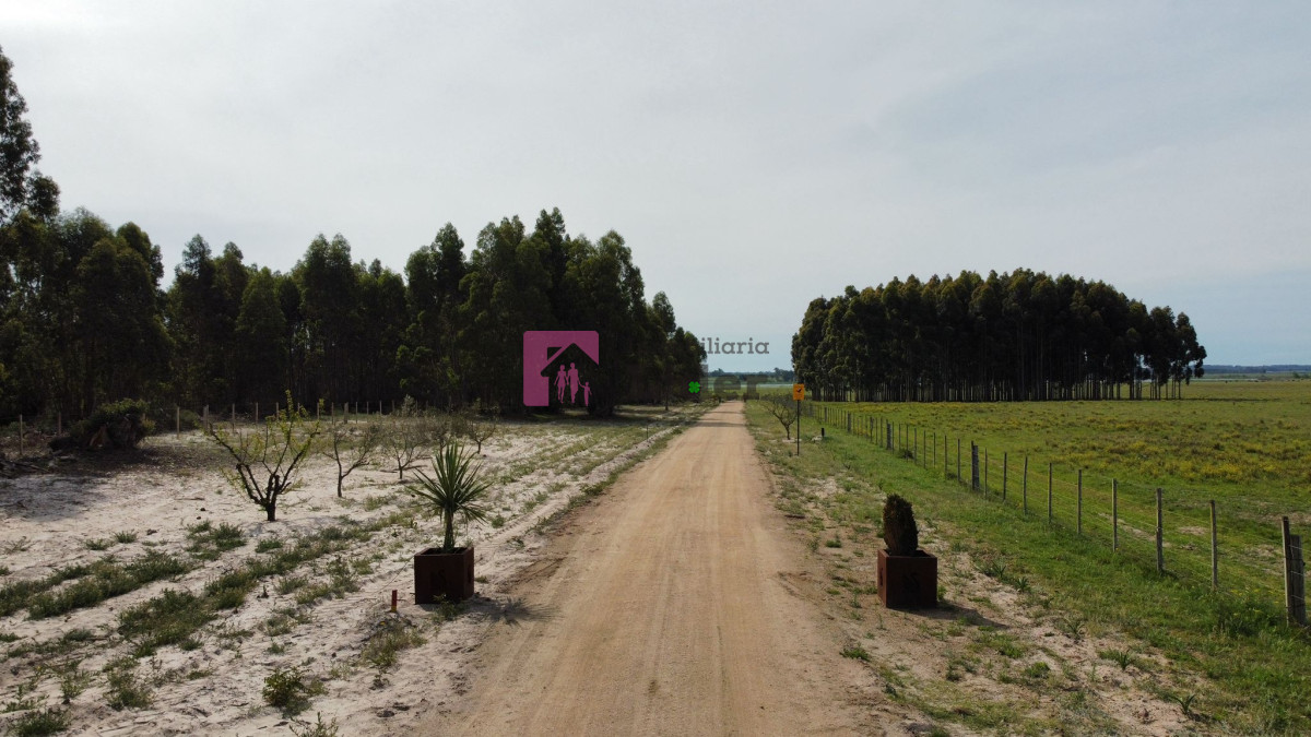 Terreno ID.612 - LAGUNA DEL CISNE