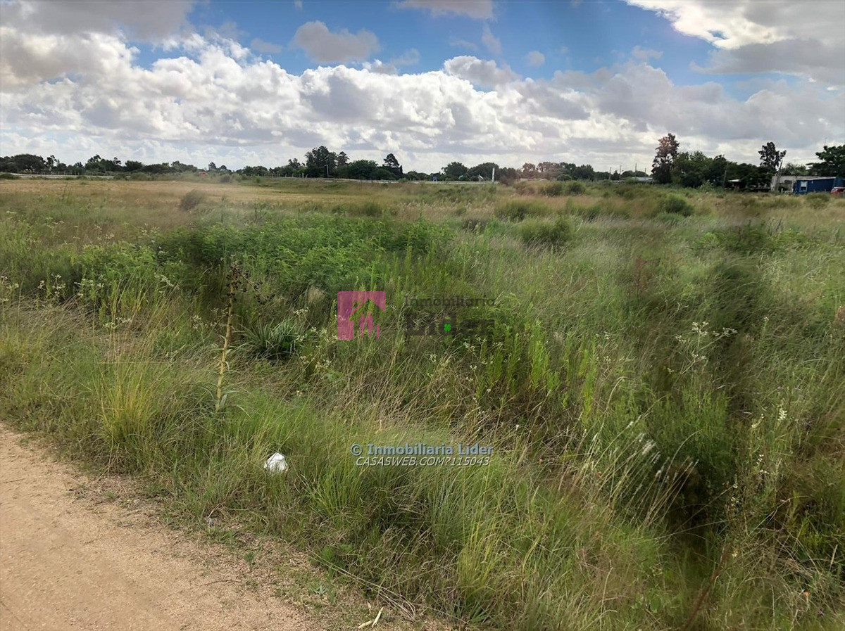 Terreno ID.431 - Terreno Con Excelente Ubicación Sobre Ruta 1