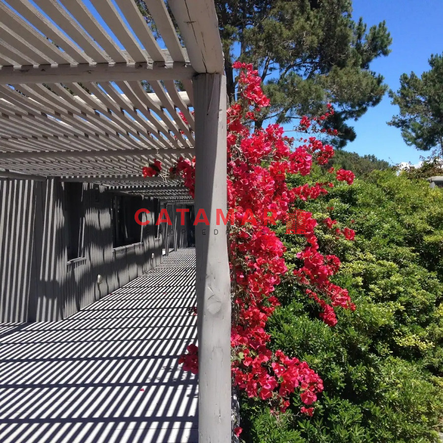 Casa ID.711 - Casa cinco dormitorios piscina parrillero Pinar del Faro Jose Ignacio Punta del Este