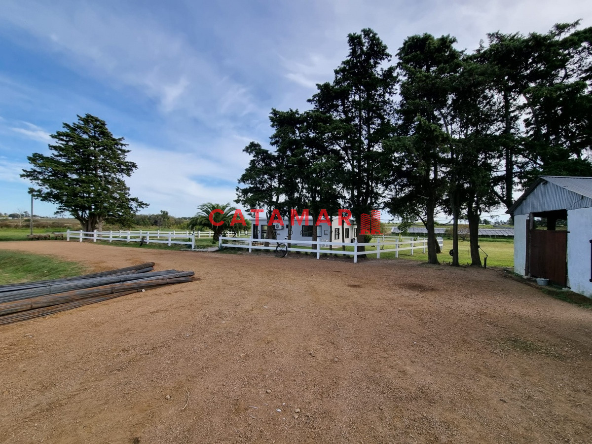 Chacra ID.403 - Venta Chacra con plantación de Cannabis