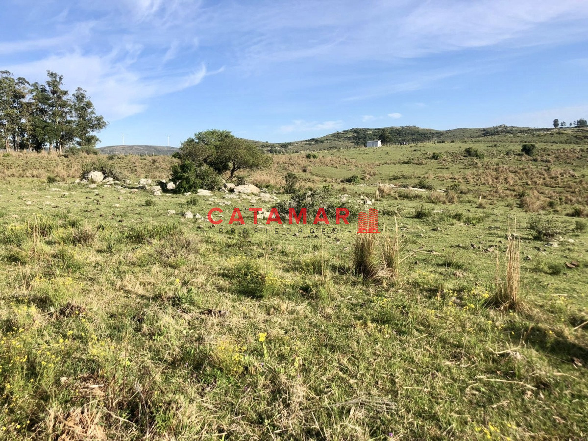 Chacra ID.530 - Chacra en venta Las cañas Maldonado 3 hectareas
