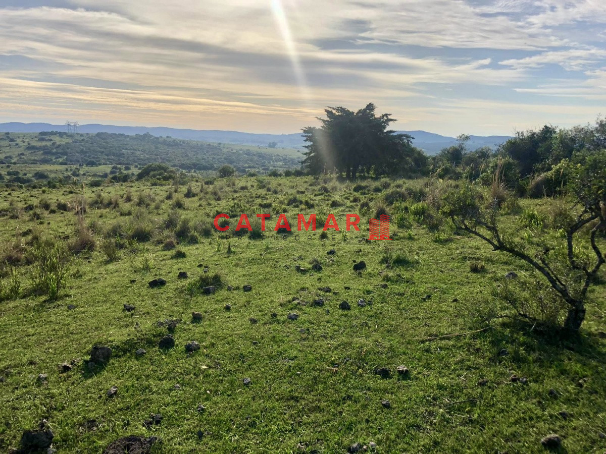 Chacra ID.530 - Chacra en venta Las cañas Maldonado 3 hectareas