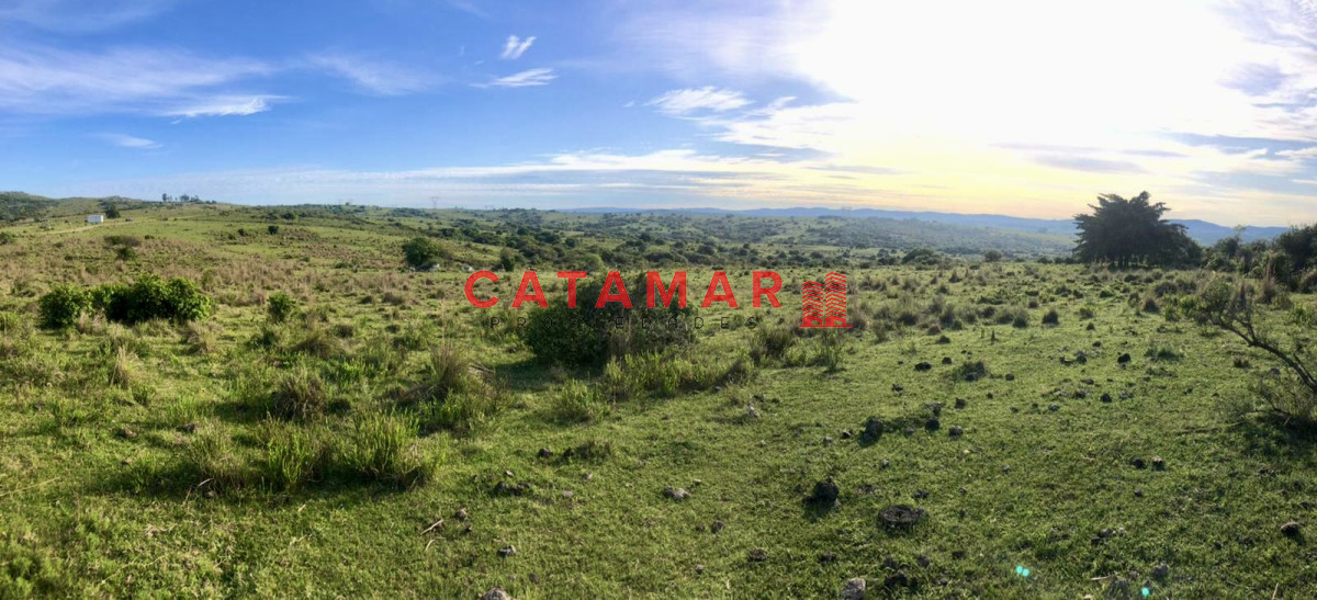 Chacra ID.530 - Chacra en venta Las cañas Maldonado 3 hectareas