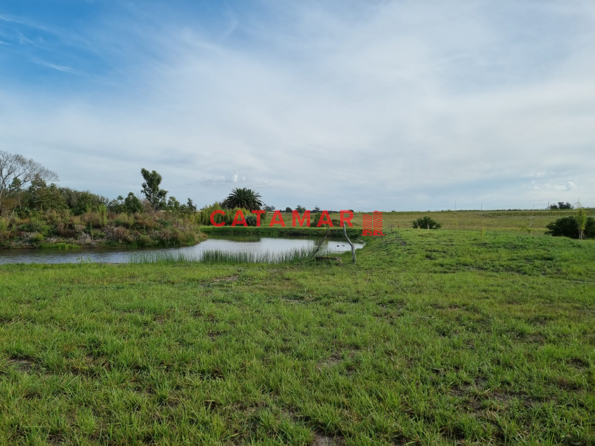 Chacra ID.403 - Venta Chacra con plantación de Cannabis