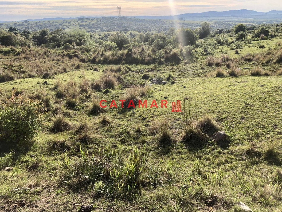 Chacra ID.530 - Chacra en venta Las cañas Maldonado 3 hectareas