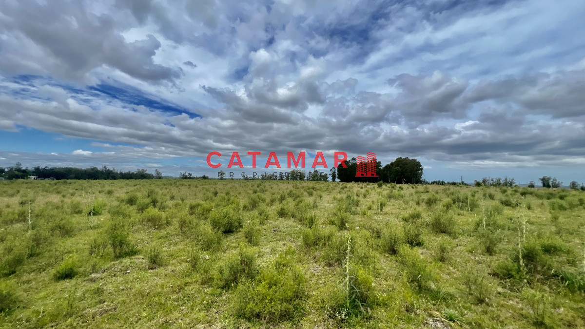 Chacra ID.723 - Chacra en venta camino de los ceibos 7 hectareas y media