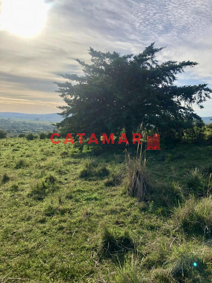 Chacra ID.530 - Chacra en venta Las cañas Maldonado 3 hectareas