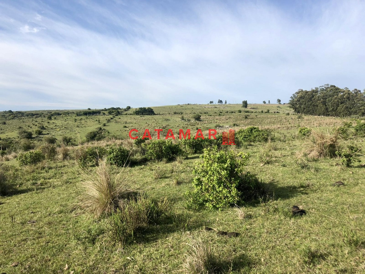 Chacra ID.530 - Chacra en venta Las cañas Maldonado 3 hectareas